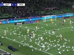 بالفيديو.. أسراب الطيور تغزو مباراة كرة قدم في “مشهد جنوني”