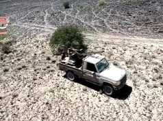 قوات العمالقة تنفذ مناورة عسكرية بالذخيرة الحية في شبوة