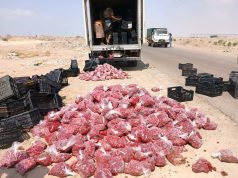 إتلاف كمية كبيرة من الفراولة الغير صالحة في مديرية المنصورة