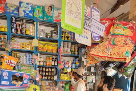 مكتب الصناعة بالمنصورة يضبط منتجات ضارة للأطفال ويحرر مخالفات لعدد من التجار