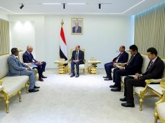 رئيس الوزراء وزير الخارجية يستقبل في عدن المنسق المقيم للأمم المتحدة