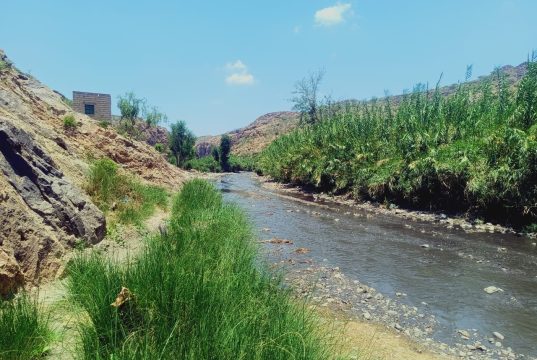 مليشيا الحوثي تغرق قرى الضالع ولحج بمياه الصرف الصحي..