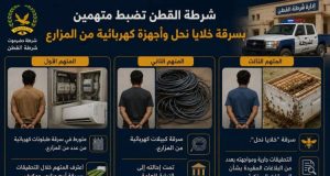 الامن يضبط متهمين بسرقات متخصصة في خلايا النحل والأجهزة الكهربائية من مزارع بحضرموت