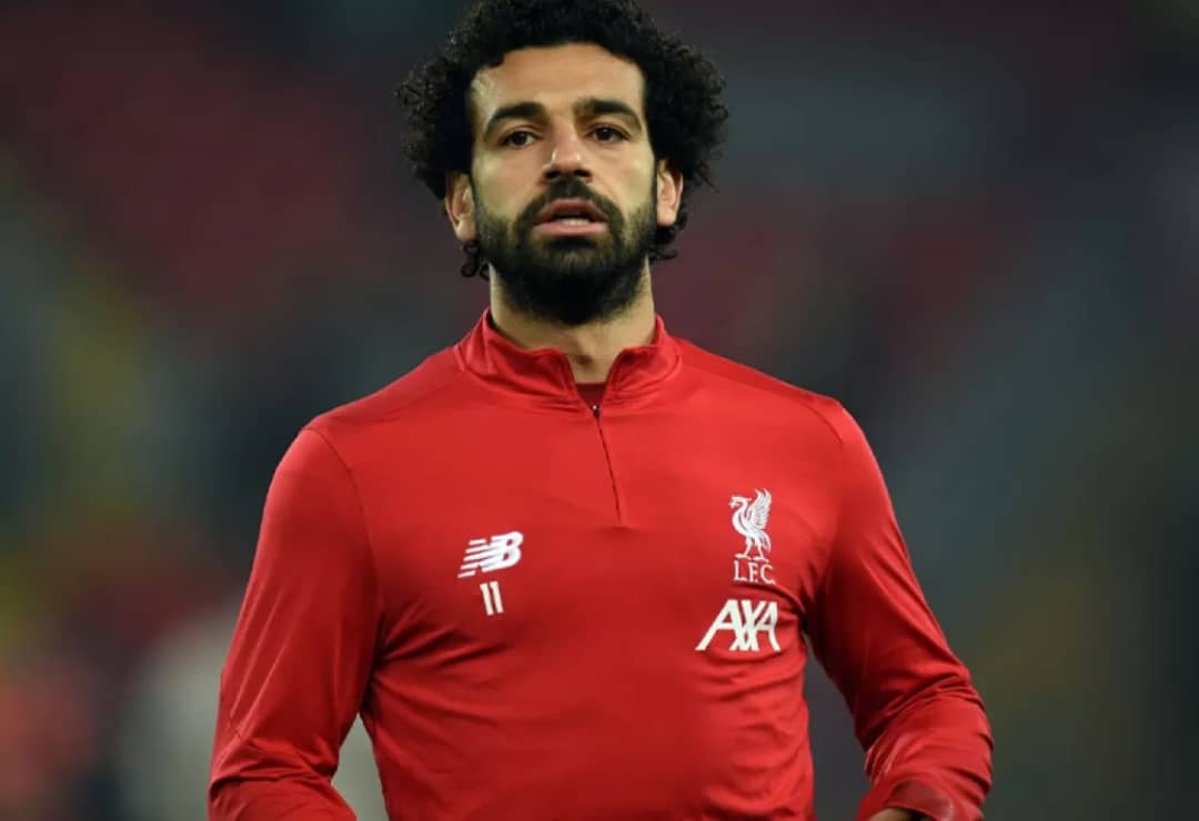 محمد صلاح الدين الأيوبى