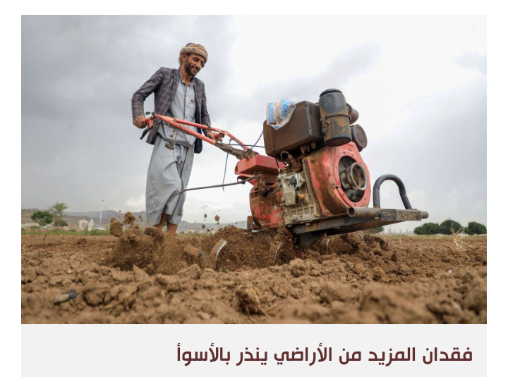 الزراعة في اليمن تعاني من الحرب وتغير المناخ والإقطاع