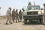صاعقة رعدية تقضي على أكثر من 50 رأس من الأغنام في أحد المحافظات اليمنية 