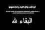 إجتماع مجلس السلم العالمي يجدد تأييده المطلق لنضال الشعب الفلسطيني ويدين مجازر الاحتلال وتكريم د.طقز 