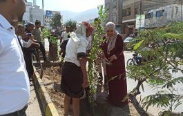 تدشين مشروع تشجير عدد من شوارع تعز